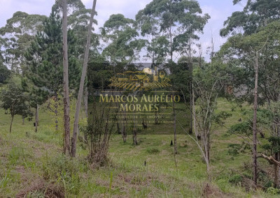 Imagem para o imóvel Ref. 31