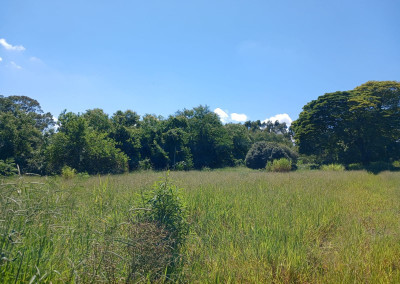 Imagem para o imóvel Ref. 35