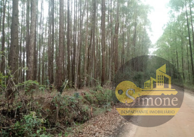 Imagem para o imóvel Ref. 131