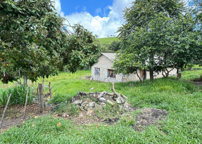 Imagem para o imóvel Ref. 19