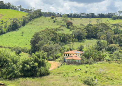 Imagem para o imóvel Ref. 464