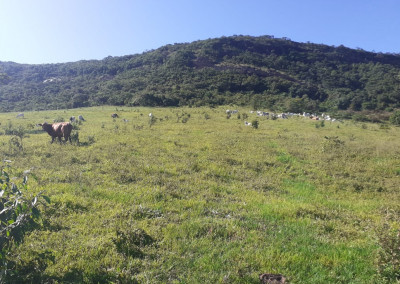 Imagem para o imóvel Ref. 493