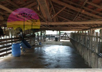 Imagem para o imóvel Ref. 291