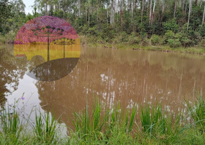Imagem para o imóvel Ref. 322