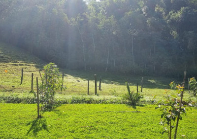 Imagem para o imóvel Ref. 176