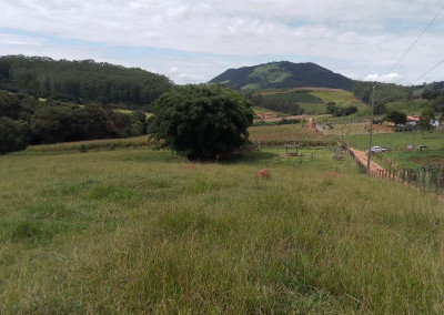 Imagem para o imóvel Ref. 477