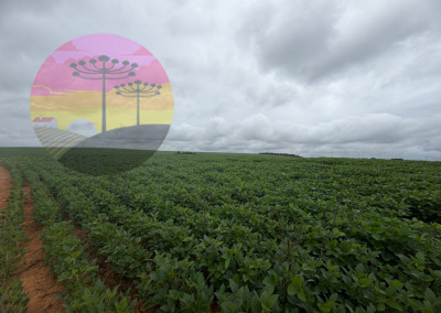 Imagem para o imóvel Ref. 518