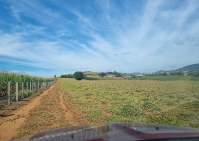 Imagem para o imóvel Ref. 420