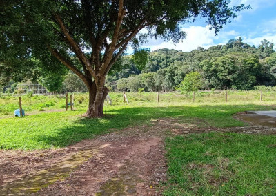 Imagem para o imóvel Ref. 315