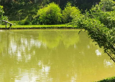 Imagem para o imóvel Ref. 272