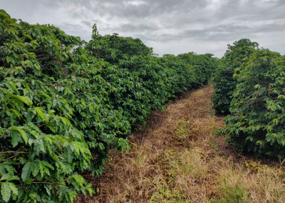 Imagem para o imóvel Ref. 186