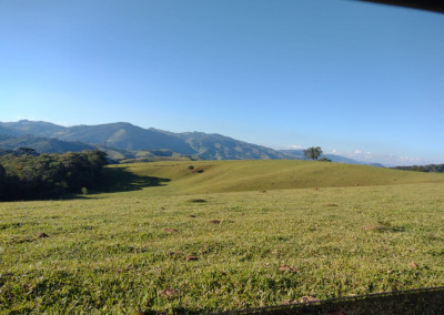 Imagem para o imóvel Ref. 421