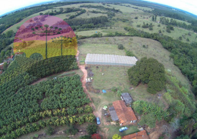 Imagem para o imóvel Ref. 337