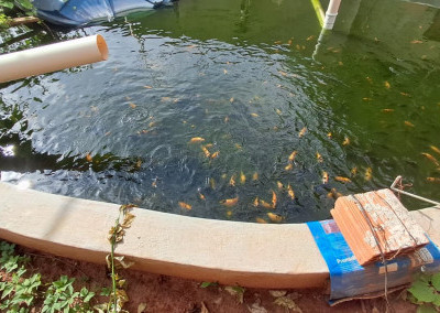 Imagem para o imóvel Ref. 352