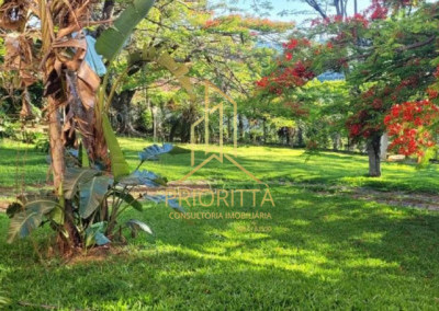 Imagem para o imóvel Ref. 1225