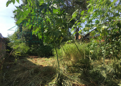 Imagem para o imóvel Ref. 550