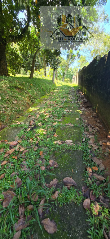 Chácara à venda com 2 quartos, 1900m² - Foto 24