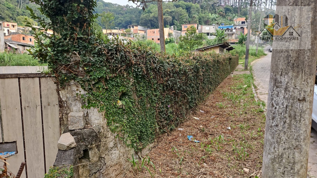 Terreno à venda, 1128m² - Foto 3