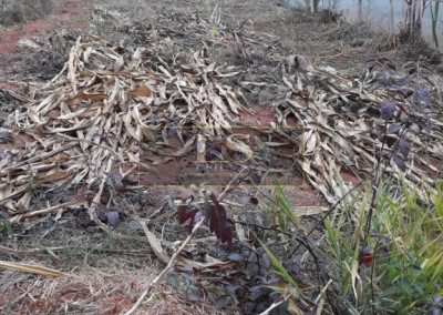 Imagem para o imóvel Ref. LS01148