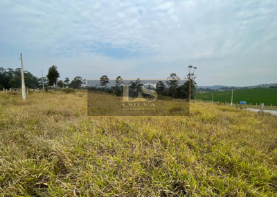 Imagem para o imóvel Ref. LS01119