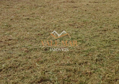 Imagem para o imóvel Ref. 565