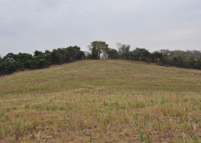 Imagem para o imóvel Ref. 1392