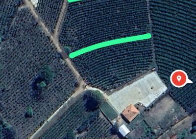 Imagem para o imóvel Ref. 1236