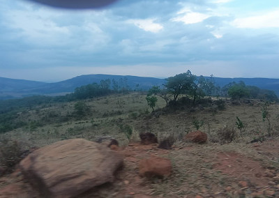 Imagem para o imóvel Ref. 1351