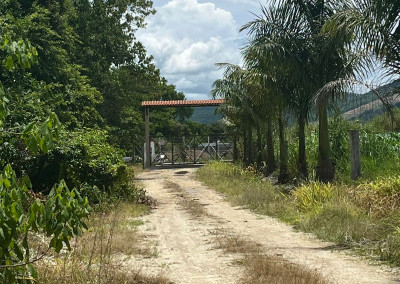 Imagem para o imóvel Ref. 1364