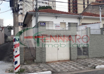 Imagem para o imóvel Ref. 1019