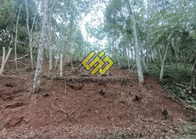 Imagem para o imóvel Ref. 1094