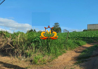 Imagem para o imóvel Ref. 1239