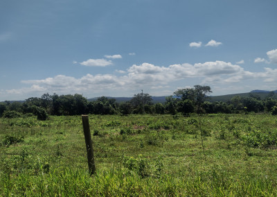 Imagem para o imóvel Ref. 256