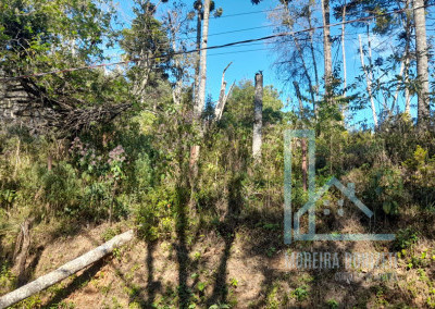 Imagem para o imóvel Ref. 318