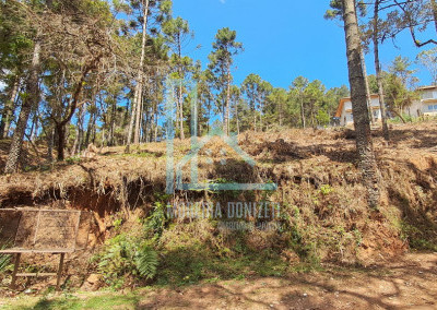 Imagem para o imóvel Ref. 369