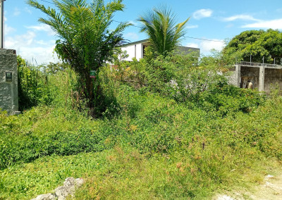 Imagem para o imóvel Ref. 296