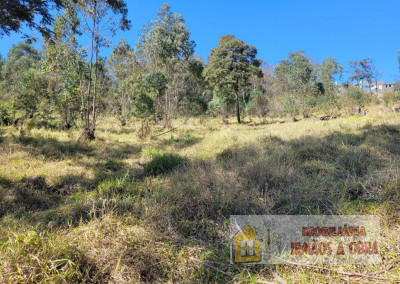 Imagem para o imóvel Ref. 507