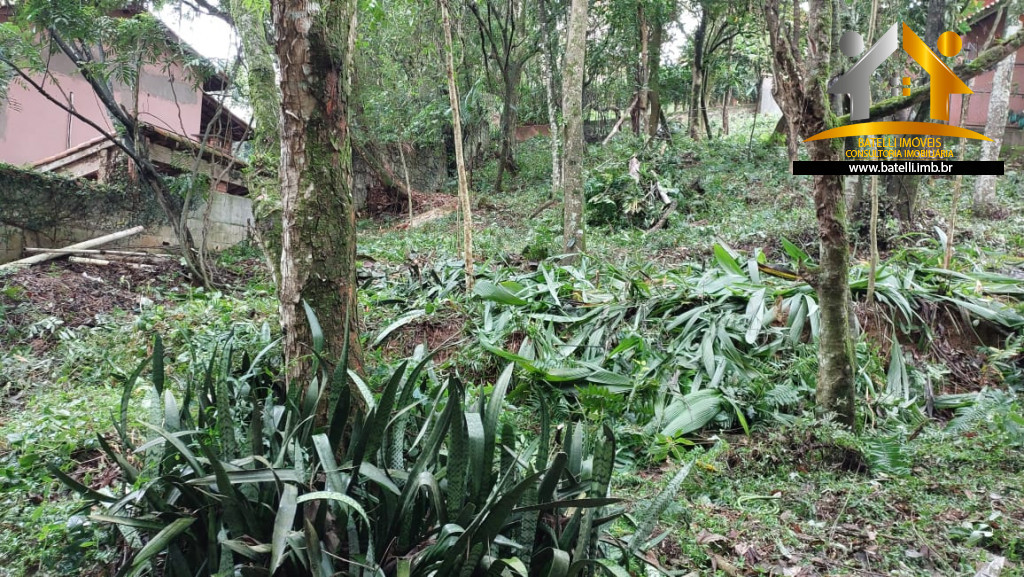 Terreno, 506 m² - Foto 9