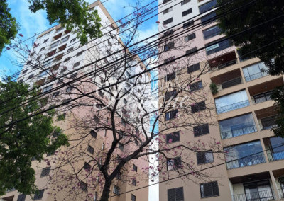 Imagem para o imóvel Ref. 7402