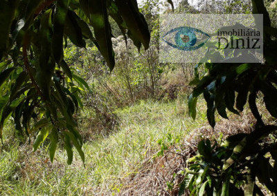 Imagem para o imóvel Ref. 1247