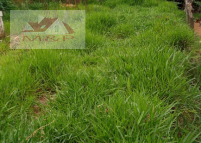 Imagem para o imóvel Ref. 1669