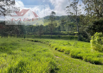 Imagem para o imóvel Ref. 2705