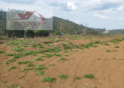 Imagem para o imóvel Ref. 2944