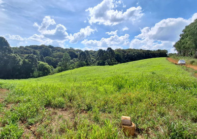 Imagem para o imóvel Ref. 346