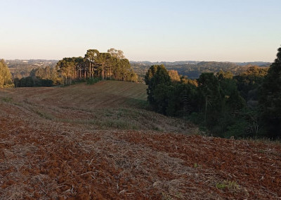 Imagem para o imóvel Ref. 346