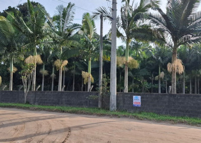 Imagem para o imóvel Ref. 292