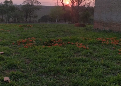 Imagem para o imóvel Ref. L44