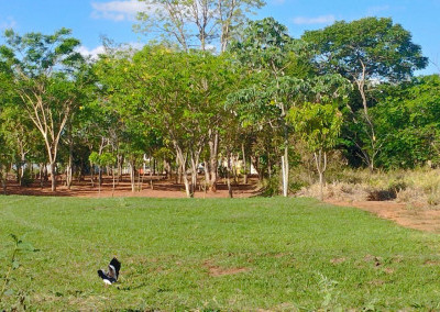 Imagem para o imóvel Ref. 280