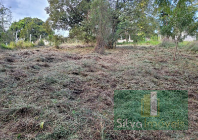 Imagem para o imóvel Ref. 1780