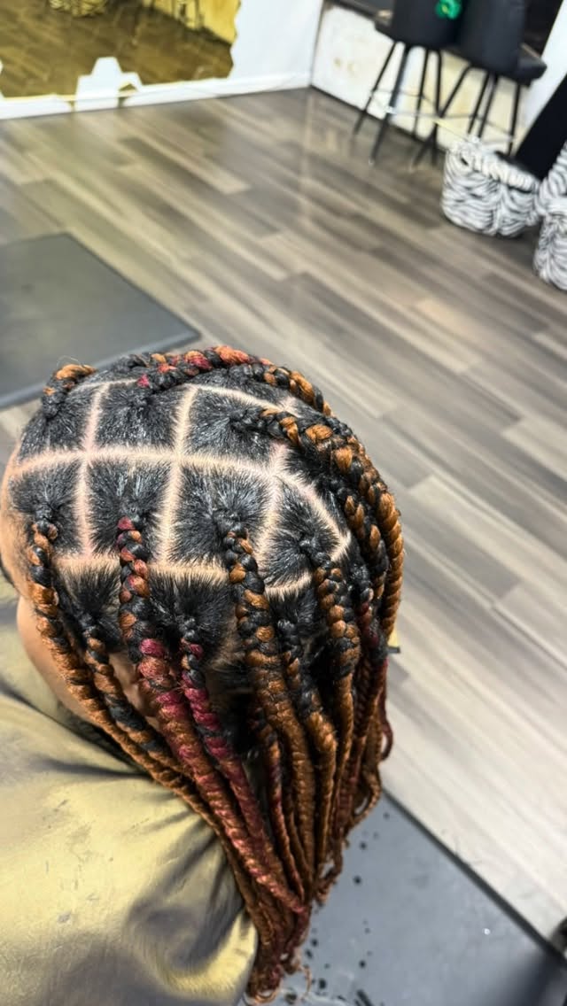 BRAIDS BY ALIY